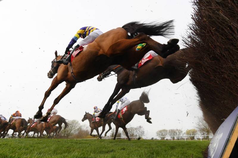 Dermot Desmond spotted at Cheltenham Festival as Celtic powerbroker turns cheerleader for billionaire