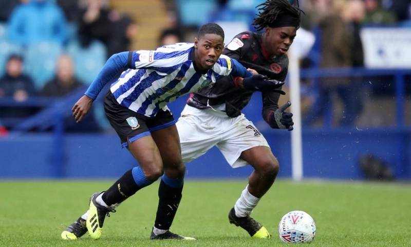 Pundit takes aim at Sheffield Wednesday over duo’s departures